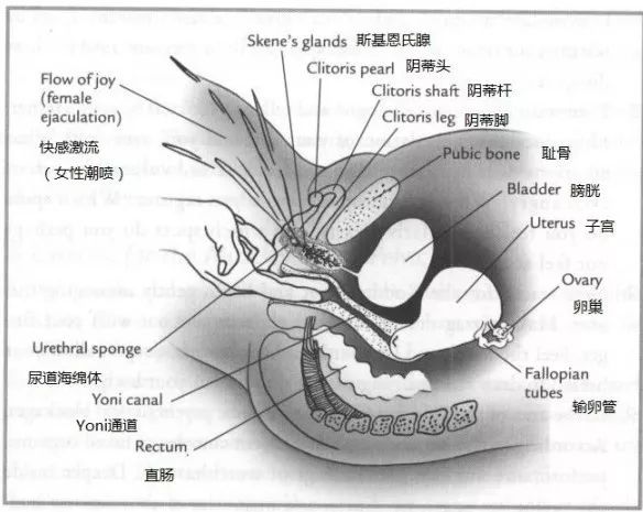 潮水泛滥