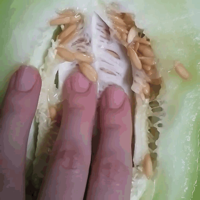 射精快还经常遗精是什么原因怎么治
