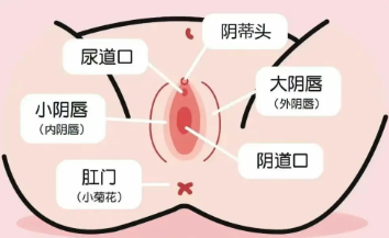 使用跳蛋没感觉怎么回事？