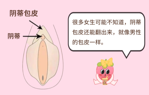 女生也有包皮?性生活没感觉可能是因为它过长