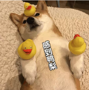 看了小电影很想要,对她却没感觉?