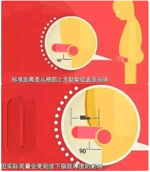 阴茎大小是否正常，要看勃起状态。 亚洲地区男性的阴茎，勃起长度大约为 10～12 cm，周径为 7～10 cm。 但并不&hellip;