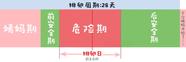 大家可以看看上面这张图片: 简单来说,如果我们把排卵周期定位28天的话,那么中间的排卵日距离下一次姨妈的第一天,时间大概…