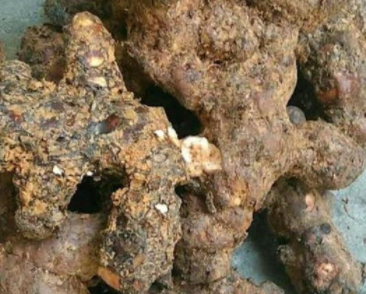 他达拉非可以和维生素e同用吗