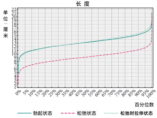 什么样的丁丁尺寸才算是正常的？