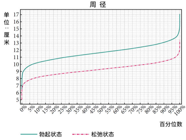 什么样的丁丁尺寸才算是正常的？