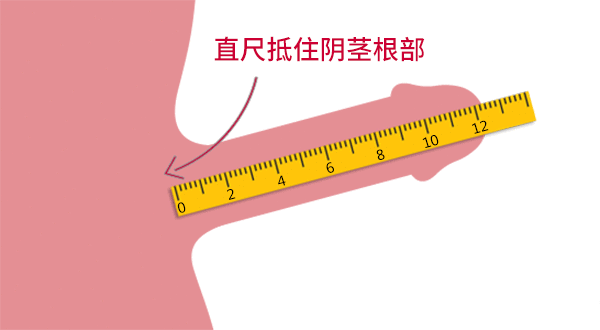 什么样的丁丁尺寸才算是正常的？