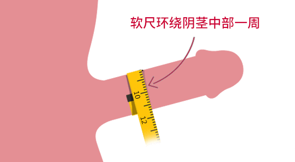 什么样的丁丁尺寸才算是正常的？