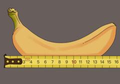 什么样的丁丁尺寸才算是正常的？