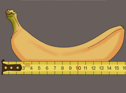 什么样的丁丁尺寸才算是正常的？