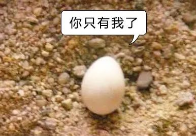 男生的蛋蛋最怕什么？你的蛋蛋还好吗