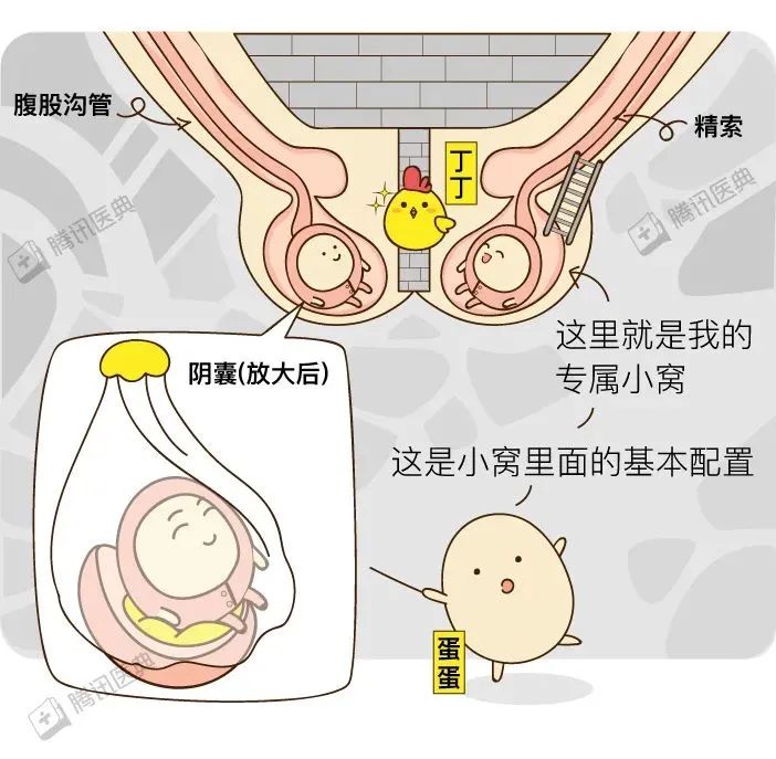 男生的蛋蛋最怕什么?你的蛋蛋还好吗
