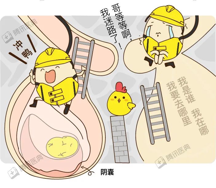 男生的蛋蛋最怕什么?你的蛋蛋还好吗