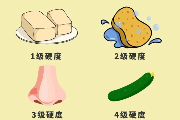 男人的丁丁尺寸和女性快感真的相关吗