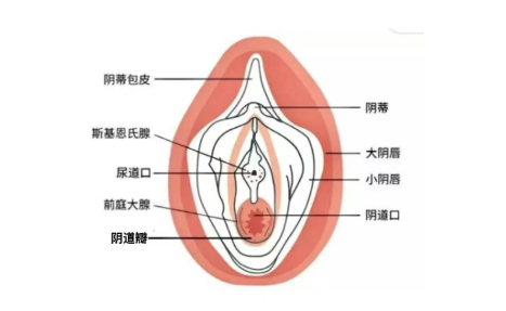 女性私处，到底应该是什么气味的