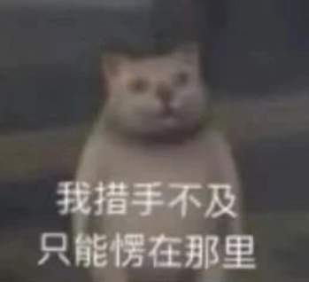 小白的内心