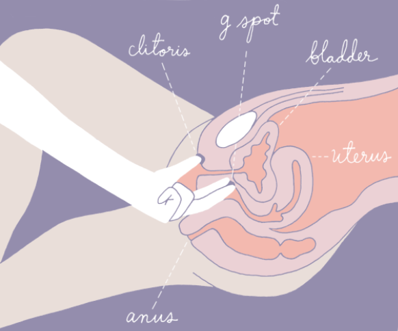 G点在哪里？找到G点怎么那么难
