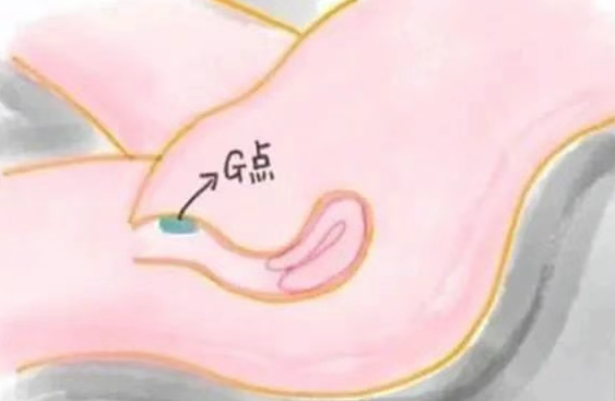 G点