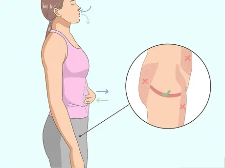 集中紧缩盆底肌肉