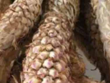 好劲头延时喷剂谁用过,效果怎么样