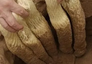 他达拉非吃两片20mg效果怎么样