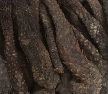 达泊西汀可以助勃吗有效果吗