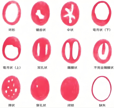 形状多种多样