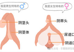 男生排尿射精共用通道，女生却各司其职？