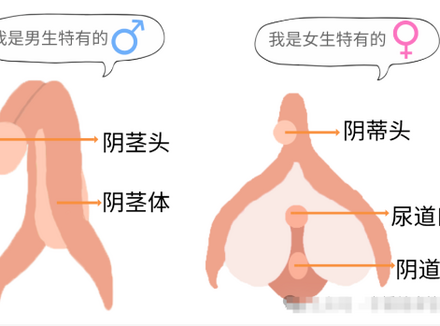 男生排尿射精共用通道，女生却各司其职？