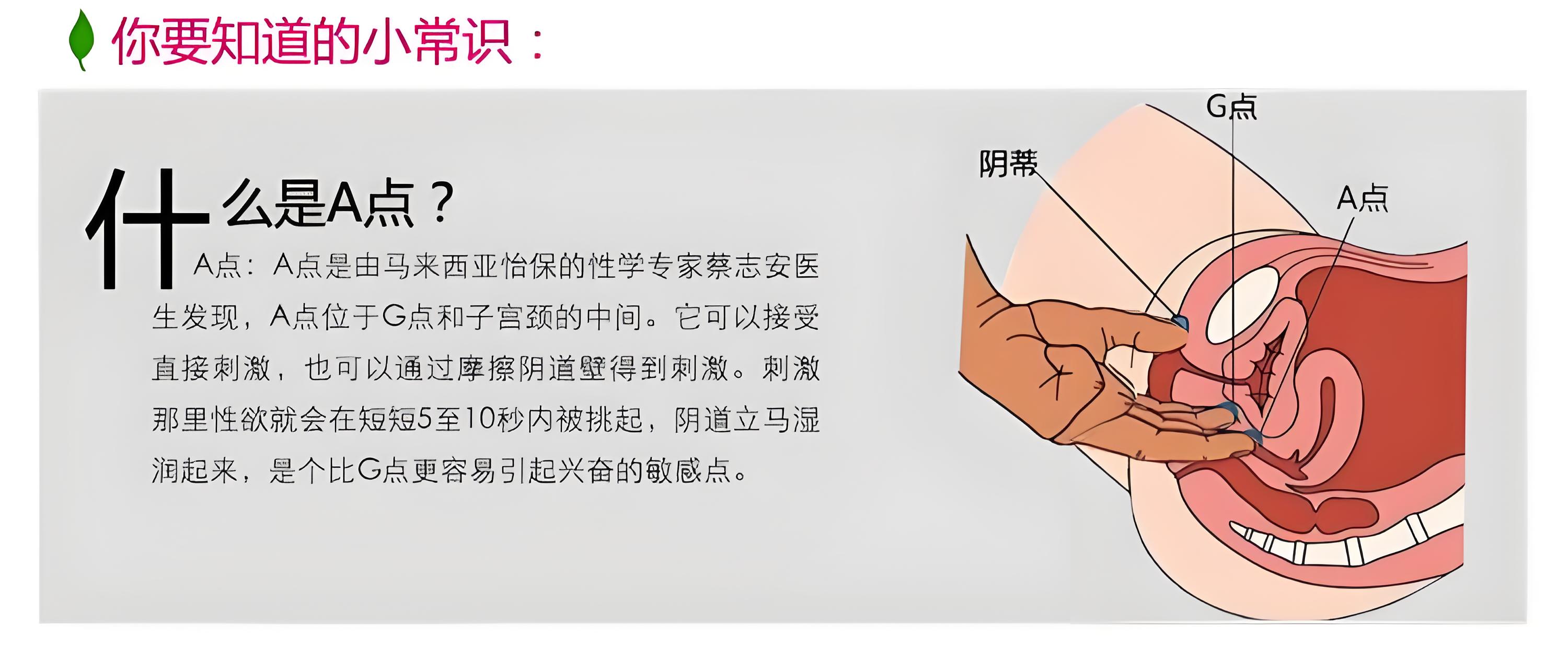 A 点、G 点别乱试!不是人人都拥有,快感从来没有统一标准答案